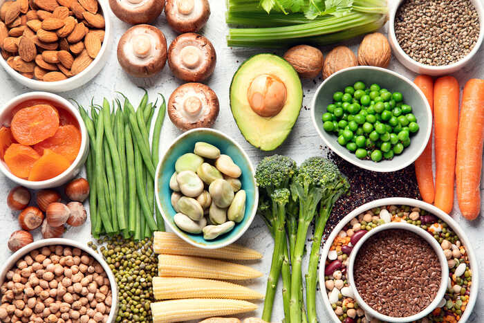 plant protein plant protein